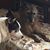 Linda Rossman Williams's profile image