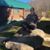 Renae Hodgins Smith's profile image