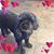 Janette McClanahan's profile image