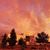 Connie Buckner's profile image