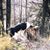 Darlene Thygesen Sprague's profile image