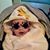 Sandy Grant's profile image