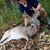 Brenden Collins's profile image