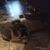 Debbie Busboom's profile image