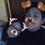 Kimberly Sun's profile image