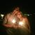 Bailey Hughes's profile image
