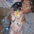 Kathy Pettengill's profile image