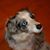 Glen Garside's profile image