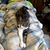 Brenda Cebery's profile image