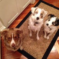 Joe Sherman's profile image