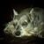 Darla Davis's profile image