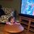 Deborah McLaughlin's profile image