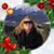 Kelly Brodhagen's profile image