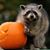 Katie Slye's profile image