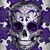 Barbara Feliciano's profile image