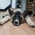 Kathleen Fieldman's profile image