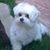 Jeffrey L Heger's profile image