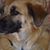 Carol West Srokose's profile image
