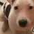 Gina Brezenoff's profile image