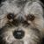 Robert Spoon's profile image