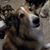 Sherry Rifley's profile image