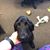 Tara Sankey's profile image