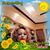 Sharondale Brackett's profile image