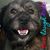 Maria Pine's profile image