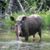 Tina Bennett Kuisti's profile image