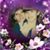 Annie Gunter's profile image
