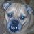 Skip Hague's profile image