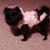 Lisa Zanzeberg's profile image