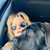 Denise Shaheen's profile image