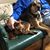 Josephine Teister's profile image