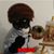 Joshua Rodriguez's profile image