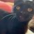 Pam Piro's profile image
