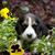 Brenda Howell Butler's profile image