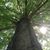 Matthew LeMay's profile image