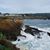 Donna Hannaford's profile image