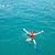 Adrianna Jozic's profile image