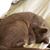 Oonagh Ives's profile image