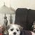 Loretta Cavallaro Gramley Morris's profile image