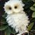 Tonia Ellis Hargrove's profile image