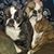 Kay Packard's profile image
