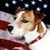 Jon Oberlander's profile image