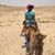 Michele Rafter's profile image