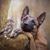 Anne Graber's profile image