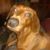 Robert Hodshire's profile image