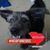 Helana Frierson's profile image