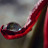 S's profile image